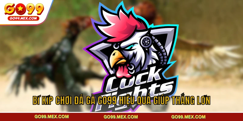 Bí kíp chơi đá gà GO99 hiệu quả giúp thắng lớn
