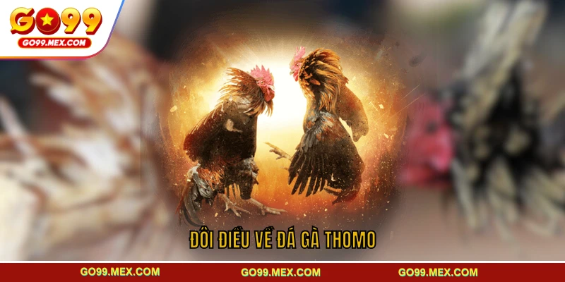 Đôi điều về đá gà Thomo