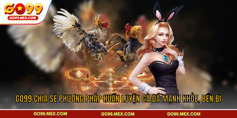 GO99 chia sẻ phương pháp huấn luyện gà đá mạnh khỏe, bền bỉ