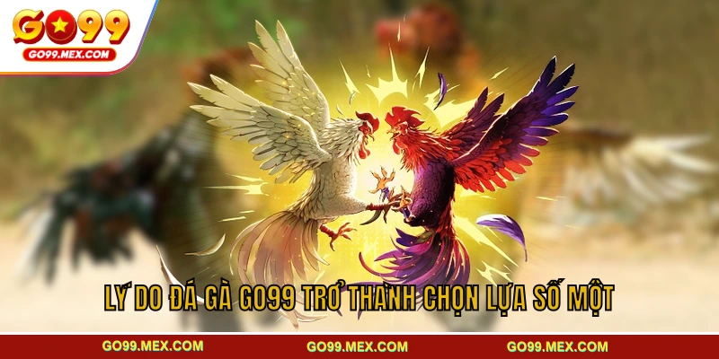 Lý do đá gà GO99 trở thành chọn lựa số một